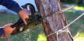 Best Soil Testing and Treatment  in Marinette, WI