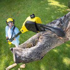 Best Aeration Services  in Marinette, WI