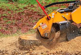 Best Leaf Removal  in Marinette, WI