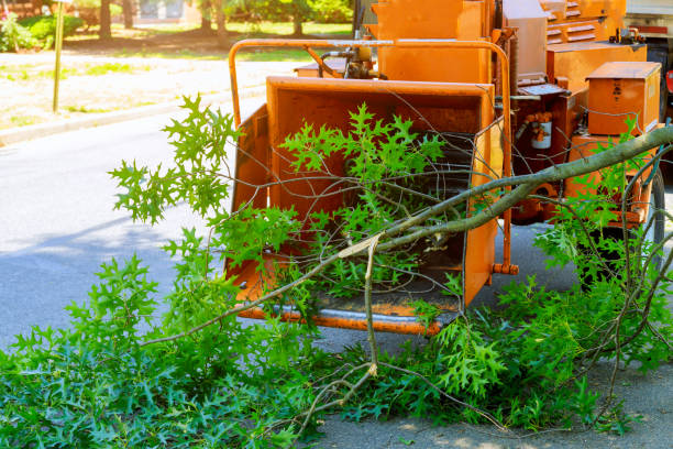 Best Seasonal Cleanup (Spring/Fall)  in Marinette, WI