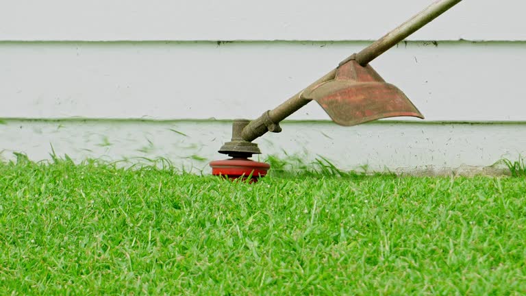 Best Utility Line Clearance  in Marinette, WI