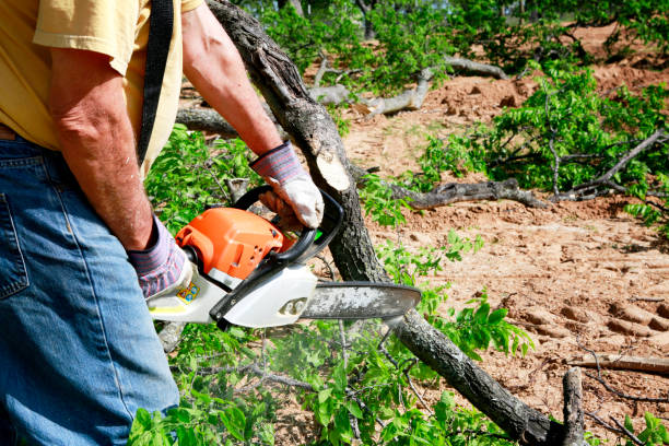 Best Lawn Maintenance Plans  in Marinette, WI